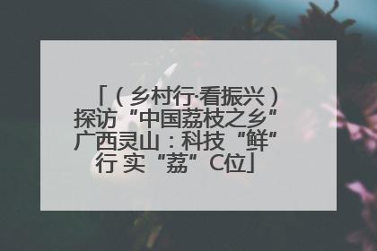（乡村行·看振兴）探访“中国荔枝之乡”广西灵山：科技“鲜”行 实“荔”C位