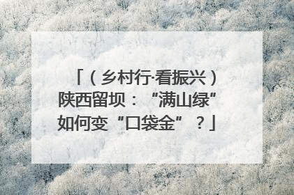 （乡村行·看振兴）陕西留坝：“满山绿”如何变“口袋金”？