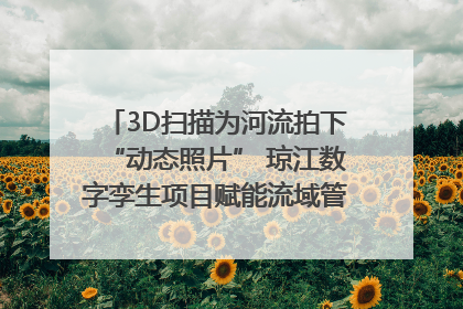 3D扫描为河流拍下“动态照片” 琼江数字孪生项目赋能流域管理｜新闻发布最前线