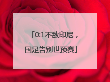 0:1不敌印尼，国足告别世预赛