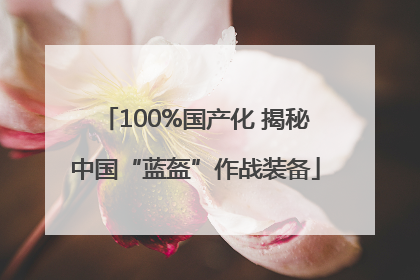 100%国产化 揭秘中国“蓝盔”作战装备