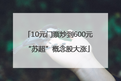 10元门票炒到600元 “苏超”概念股大涨