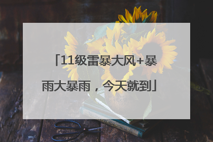11级雷暴大风+暴雨大暴雨，今天就到