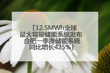12.5MWh全球最大容量储能系统发布 合肥一季度储能系统同比增长425%