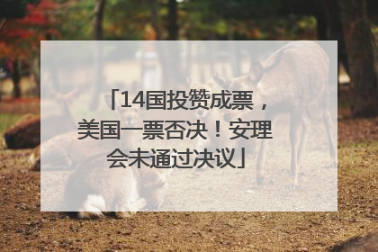 14国投赞成票，美国一票否决！安理会未通过决议