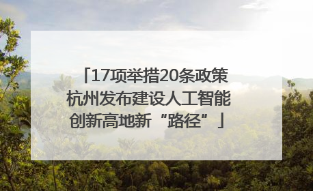 17项举措20条政策 杭州发布建设人工智能创新高地新“路径”