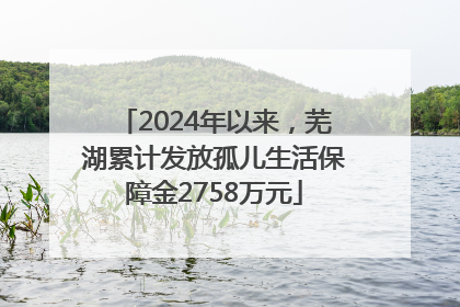 2024年以来，芜湖累计发放孤儿生活保障金2758万元