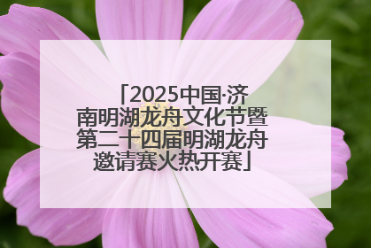 2025中国·济南明湖龙舟文化节暨第二十四届明湖龙舟邀请赛火热开赛