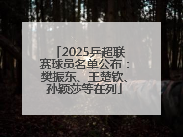2025乒超联赛球员名单公布：樊振东、王楚钦、孙颖莎等在列