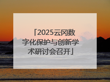 2025云冈数字化保护与创新学术研讨会召开