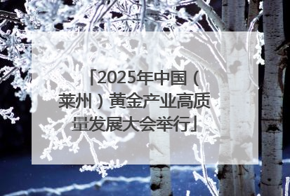 2025年中国（莱州）黄金产业高质量发展大会举行