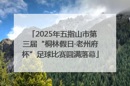 2025年五指山市第三届“桐林假日·老州府杯”足球比赛圆满落幕