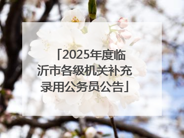 2025年度临沂市各级机关补充录用公务员公告