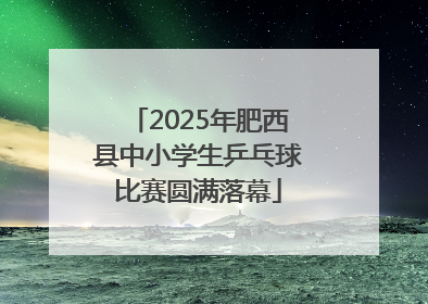2025年肥西县中小学生乒乓球比赛圆满落幕