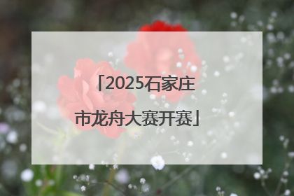 2025石家庄市龙舟大赛开赛