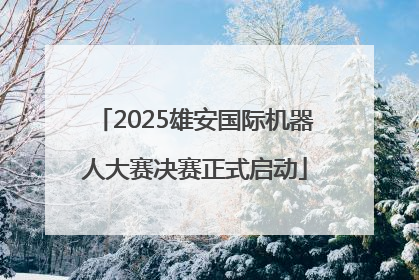 2025雄安国际机器人大赛决赛正式启动
