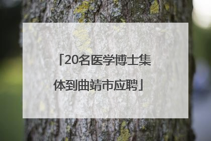 20名医学博士集体到曲靖市应聘