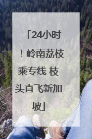 24小时！岭南荔枝乘专线 枝头直飞新加坡