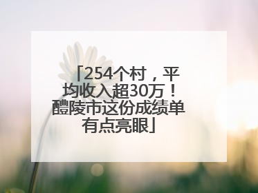 254个村，平均收入超30万！醴陵市这份成绩单有点亮眼
