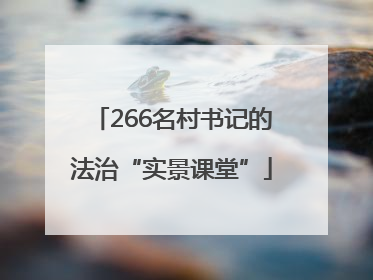 266名村书记的法治“实景课堂”