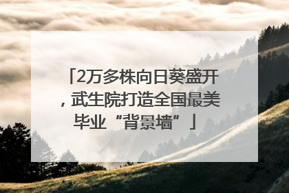 2万多株向日葵盛开，武生院打造全国最美毕业“背景墙”