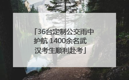 36台定制公交雨中护航 1400余名武汉考生顺利赴考