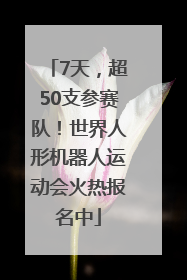 7天，超50支参赛队！世界人形机器人运动会火热报名中
