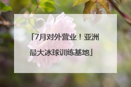 7月对外营业！亚洲最大冰球训练基地