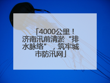 4000公里！济南汛前清淤“排水脉络”，筑牢城市防汛网