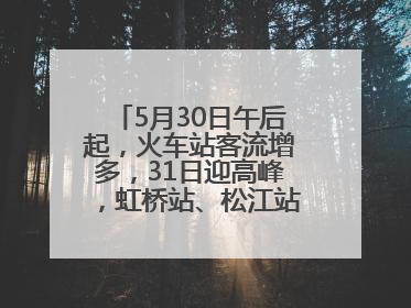 5月30日午后起，火车站客流增多，31日迎高峰，虹桥站、松江站有儿童节和端午亲子活动