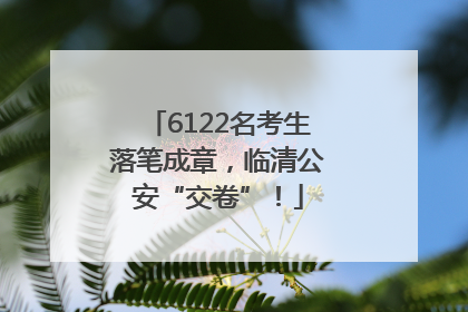 6122名考生落笔成章，临清公安“交卷”！
