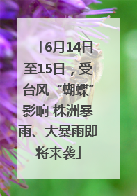 6月14日至15日，受台风“蝴蝶”影响 株洲暴雨、大暴雨即将来袭