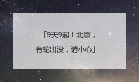 9天9起！北京，有蛇出没，请小心