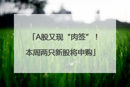 A股又现“肉签”！本周两只新股将申购