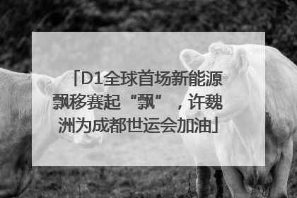 D1全球首场新能源飘移赛起“飘”，许魏洲为成都世运会加油