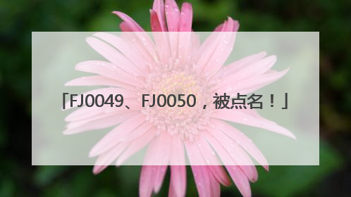 FJ0049、FJ0050，被点名！
