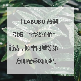 LABUBU 热潮引爆 “情绪价值” 消费，顺丰同城等第三方即配乘风而起