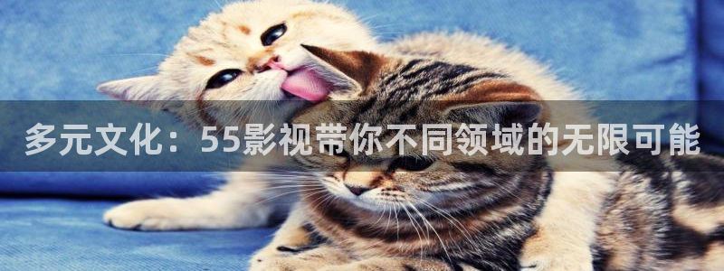 西瓜免费电影