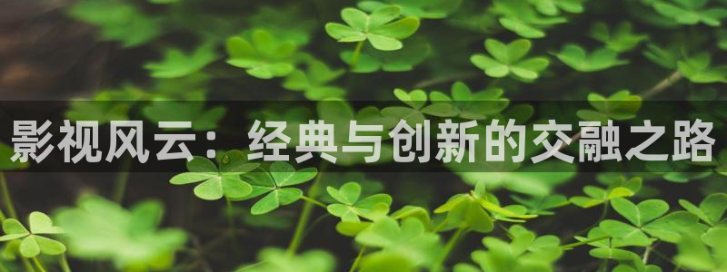 西瓜视频看西瓜视频