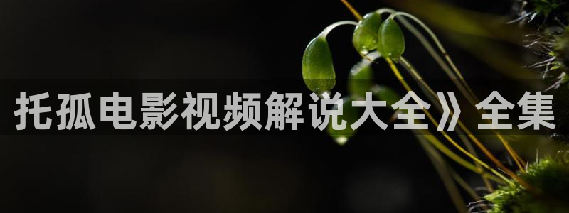 人世间在线免费观看全集西瓜