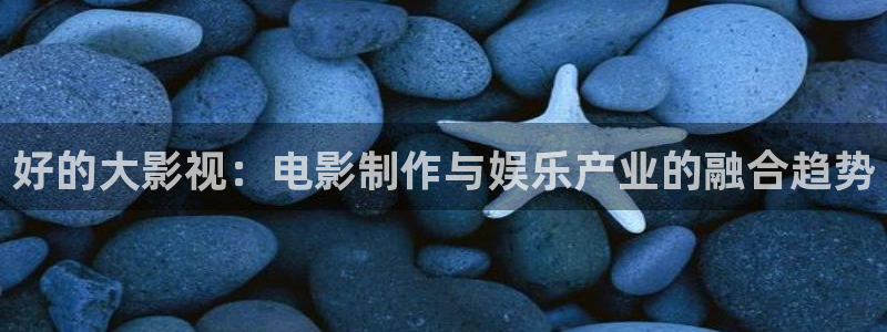 剑奴电影在线观看西瓜影院免费