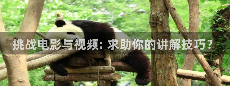 大宋北斗司免费观看西瓜