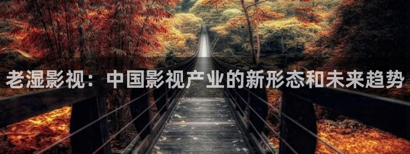 西瓜影院高清在线观看电视剧