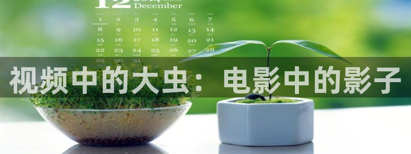 大西瓜午夜电影