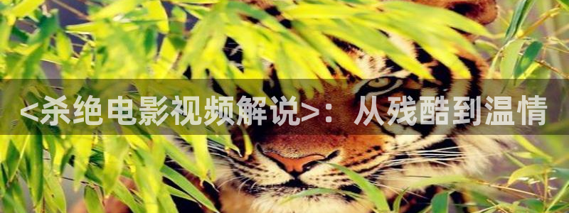大宋宫词免费观看全集完整版西瓜