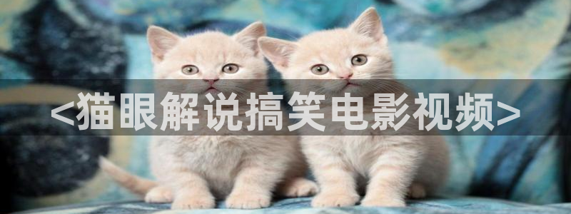 姐姐西瓜影院