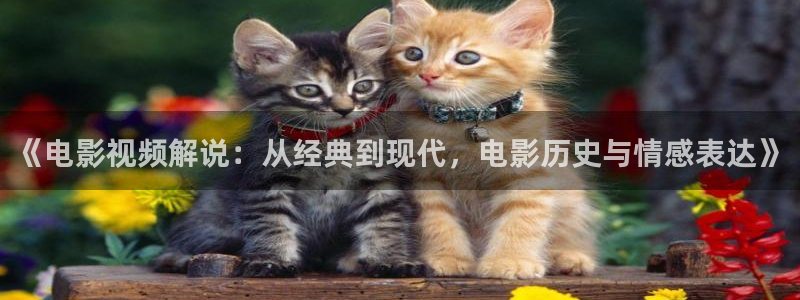 超大西瓜