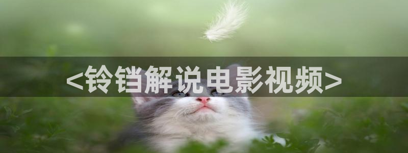 大西瓜影院让你感受新时代