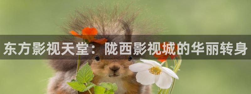 大明风华在线观看免费西瓜