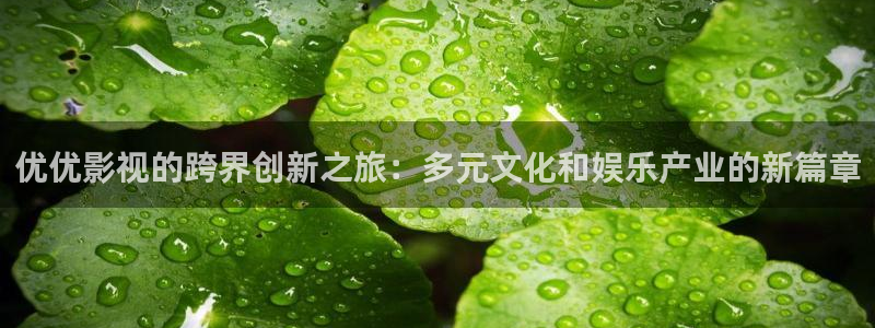 绝密使命全集在线观看西瓜